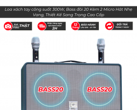 Loa Xách Tay Karaoke Temeisheng TMS8018 Công Suất Lớn 2 Bass 20 Âm Trầm Chắc