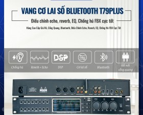 Vang Cơ Lai Số T79Plus Kết Nối Cổng Quang, Bluetooth, Điều Chỉnh Echo, Reverb, EQ...