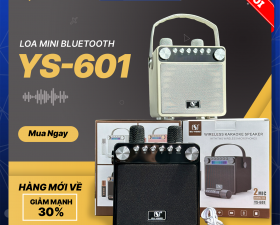 Loa Bluetooth Mini YS-601, Công Suất 35W, Nhỏ Gọn, Đi Kèm 2 Micro