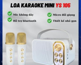 Loa Karaoke Mini YS105, Kèm 2 Micro không dây
