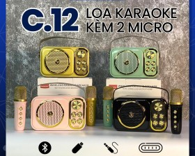 Loa Karaoke Zansong C12 - Kèm 1 Micro Không Dây