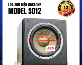 Sub Điện SD12 Chuyên Dụng Nghe Nhạc, Hát Karaoke Bass30 Công Suất 300W đến 500W Cho Diện Tích 30m2 
