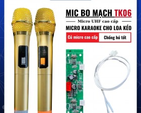 Bộ Micro Kèm Bo Mạch TK06 Cho Loa Kéo