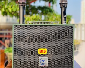 Loa Karaoke Xách Tay Karaoke P10 Loa 2 Đường Tiếng Công Suất 150W