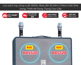 Loa Xách Tay Karaoke Temeisheng TMS8018 Công Suất Lớn 2 Bass 20 Âm Trầm Chắc