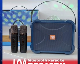 Loa karaoke mini TG543DK bluetooth kèm 2 micro