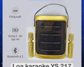 Loa bluetooth karaoke YS217
