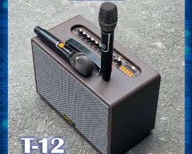 Siêu phẩm loa karaoke di động xách tay T12 chức năng cao cấp giá cực mềm