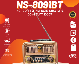 Đài Radio NS-8091BT có Bluetooth FM-AM/FM/SW Thích Hợp Giải Trí, Nghe Nhạc, Nghe Tin Tức, Pin Lâu