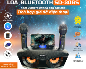 Loa Bluetooth SD-306S Công Suất 30W Chất Âm Sống Động, Kết Nối Đa Dạng, Kèm 2 Micro Không Dây