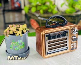 Đài Radio RX306D - Loa Nghe Nhạc Bluetooth Kiêm Đài FM Cổ Điển, Đầy Đủ Chức Năng