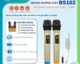 Micro karaoke SGMAX 102, Mẫu Mới 2 Mic Không Dây