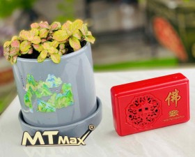 Máy niệm kinh Phật, máy niệm phật, Máy niệm phật 5 bài