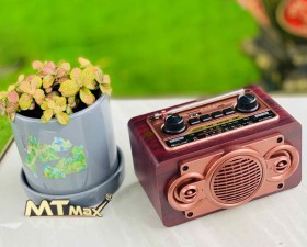 Đài FM RX2501BT 