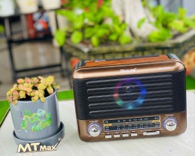 Đài Radio FM RX5160D Nghe Nhạc, Nghe Đài FM, AM, SM, Dò Tần Số Dễ Dàng
