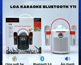 Loa Karaoke Bluetooth Y11 kèm 2 micro thiết kế độc đáo sang trọng