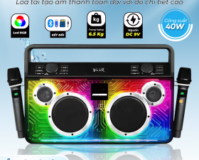 Loa Nghe Nhạc Karaoke D2616 Led RGB Nghe Nhạc Bass Căng Kèm 2 Micro Karaoke Hát Nhẹ