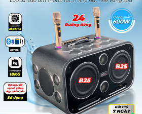 Loa Xách Tay Karaoke MTMAX DVD 179PRO 24 Đường Tiếng Bass Đôi 25CM Công Suất 600W