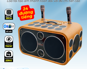 Loa Karaoke Xách Tay Cao Cấp MTMAX DVT 24 Đường Tiếng, Hệ Thống Bass Đôi 25