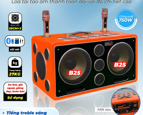 Loa Karaoke Xách Tay Cao Cấp MTMAX K10 25 Đường Tiếng, Hệ Thống Bass Đôi 25 Công Suất 750W