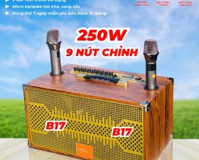 Loa Di Động Karaoke 4 Đường Tiếng MT P266  Viền Sắt 8 Cạnh Bass đôi 17cm