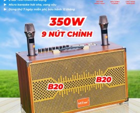 Loa Di Động Karaoke 4 Đường Tiếng MT P288  Viền Sắt 8 Cạnh Bass đôi 20cm