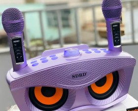 Loa karaoke bluetooth SD306Plus - Loa mắt cú nâng cấp - Phiên bản cao cấp của SD306 