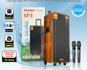 Loa Kéo TTD1122 Bass Đôi 30cm Thiết Kế Kiểu Dáng Gỗ Sang Trọng Công Suất 500W
