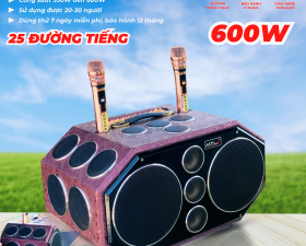 Loa Karaoke Xách Tay Cao Cấp MTMAX V138 25 Đường Tiếng, Hệ Thống Bass Đôi 25 Công Suất 600W