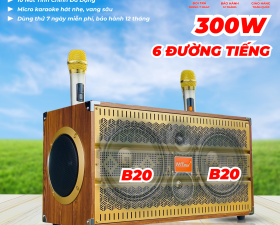 Loa Di Động Karaoke 6 Đường Tiếng MTMAX E9Pro Viền Sắt 8 Cạnh 6 Đường Tiếng Bass đôi 20