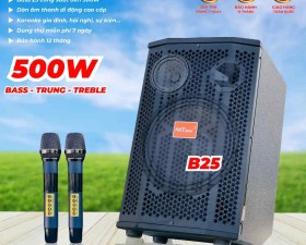 Loa Kéo Karaoke MTMAX DS09 bass 25 Loa 3 Đường Tiếng Công Suất 500W