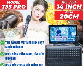 Loa Màn Hình MTMAX T33Pro Bass20 Màn Hình 14inch Công Suất 150W Đi Kèm Cặp Micro Cao Cấp