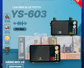 Loa Bluetooth Mini YS-603, Công Suất 40W, Nhỏ Gọn, Âm Thanh Cực Hay, Đi Kèm 2 Micro Karaoke
