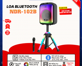 Loa Bluetooh Karaoke NDR 102B - Loa Đèn Led Cực Đẹp 7 Chế Độ, Kết Nối Bluetooth, USB, TF, AUX, TWS