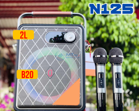 Loa Hay Nhất 2024 | Loa Xách Tay Karaoke N125 Bass20 Đèn LED Nhiều Màu