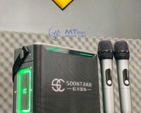 Loa Karaoke Bluetooth D5 - 8 Loa Kèm 2 Micro Hát Karaoke Không Dây