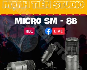 Micro thu âm chuyên nghiệp Takstar SM-8B