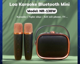 Loa Karaoke Bluetooth Mini NR 138W Kèm 2 Micro Không Dây - Nhỏ Gọn Tiện Lợi