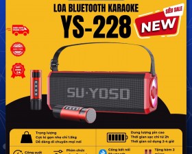 Loa Bluetooth Karaoke YS228 - Âm Bass Cực Chắc Kèm 2 Micro Không Dây