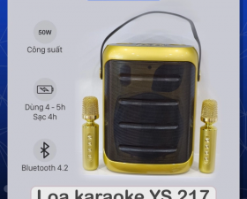Loa bluetooth karaoke YS217