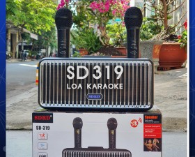 Loa karaoke bluetooth SD319 2 mic âm thanh hay nhỏ gọn phiên bản mới