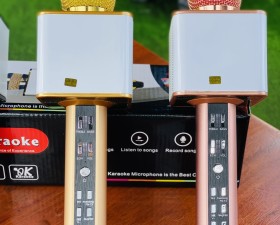 Micro Karaoke Bluetooth SD08